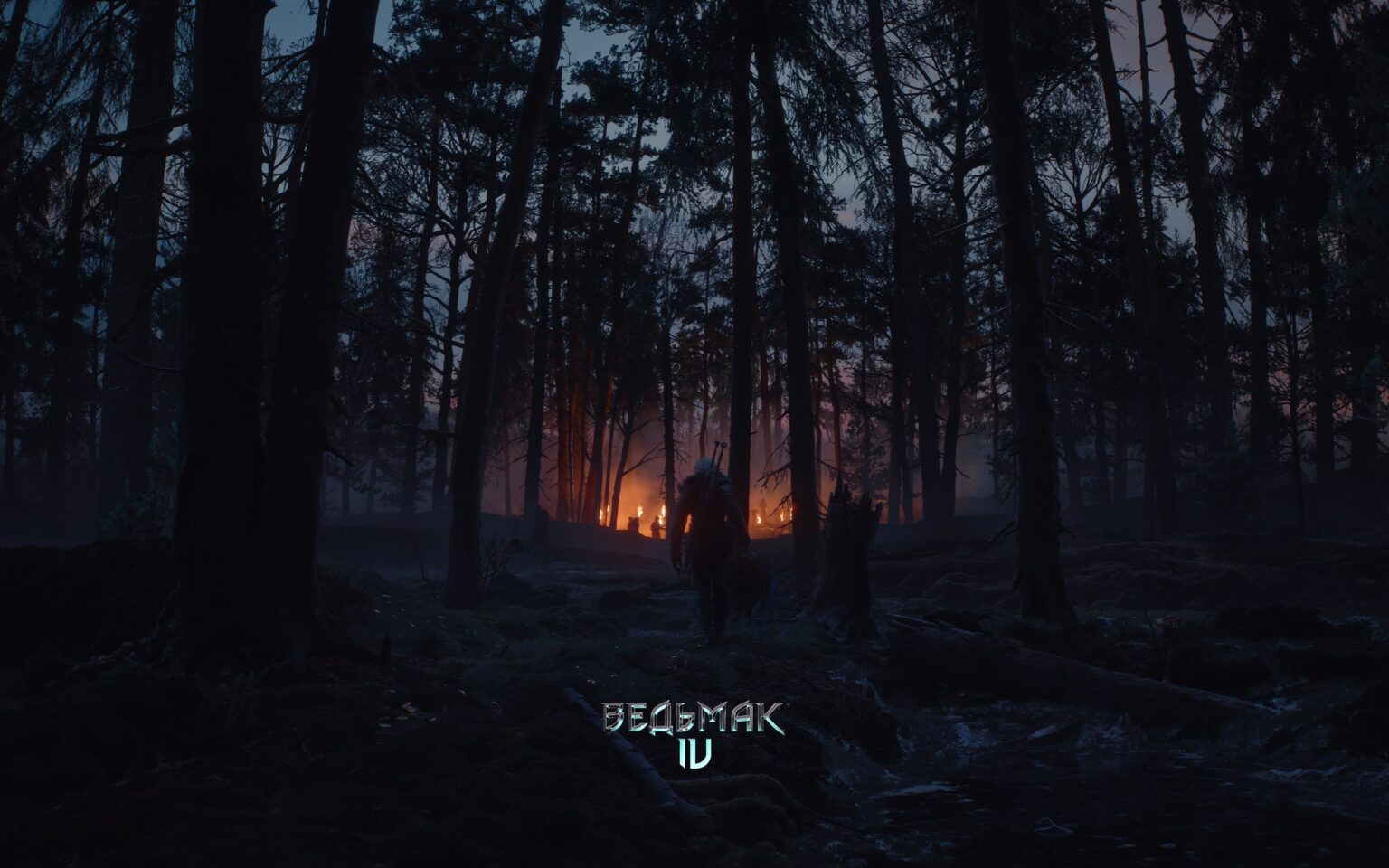 Анонсировали долгожданное продолжение Ведьмак 4: начало новой трилогии про Цири