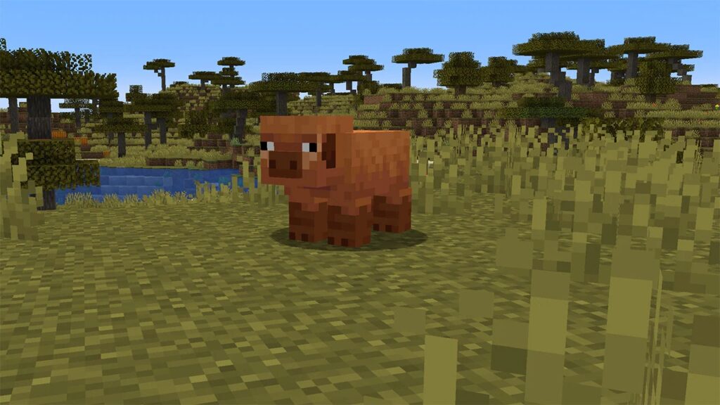 Новые виды свиней в Minecraft