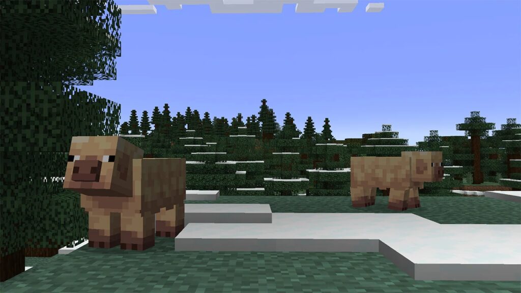 Новые виды свиней в Minecraft